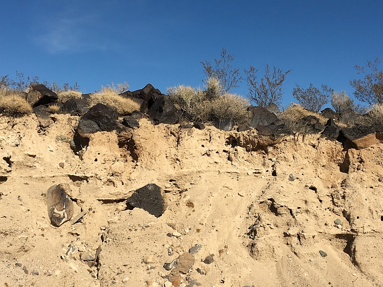 Mojave National Preserve